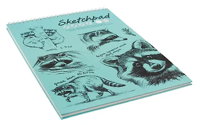 Скетчбук А4 40л "Енот-полоскун" белый офсет, 80г/м2, тв.обложка, спираль - фото 4