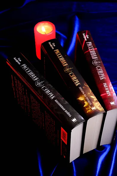 Рассеивая сумрак. Раб и меч - фото 13