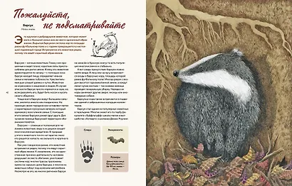 Наши соседи по планете. Рассказы о диких животных - фото 5