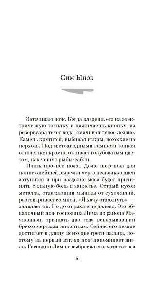 Госпожа Сим - киллер - фото 11