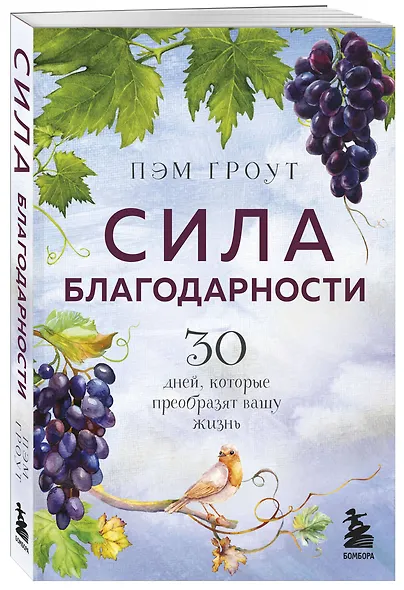 Сила благодарности. 30 дней, которые преобразят вашу жизнь - фото 3