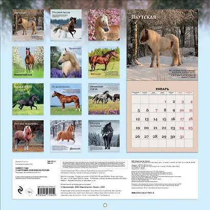 Символ года. 12 чарующих скакунов из России. Календарь настенный на 2026 год (300х300) - фото 7