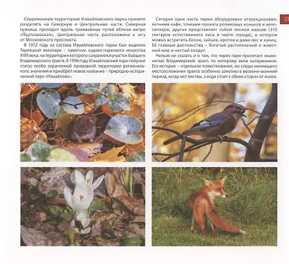 От Измайлово до Энтузиастов Забытая Благуша и её обитатели - фото 4