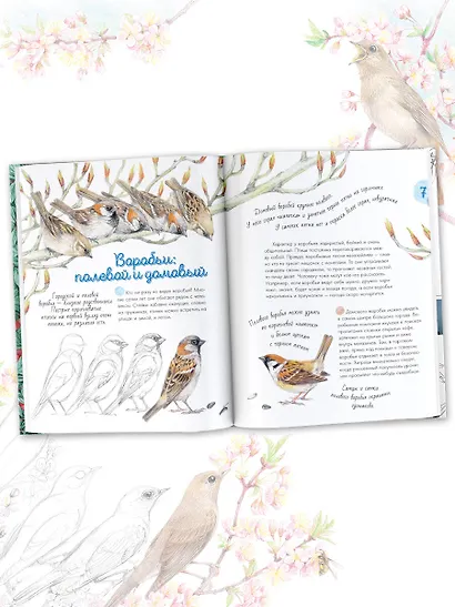 Птицы в городе - фото 7