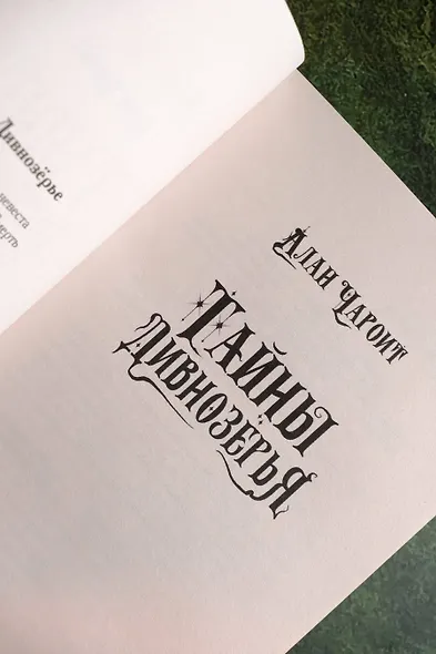 Тайны Дивнозёрья - фото 7