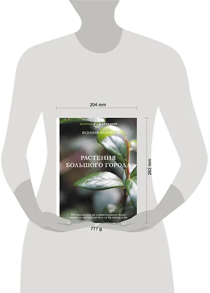 Джунгли большого города. Ботаника для неофитов - фото 4