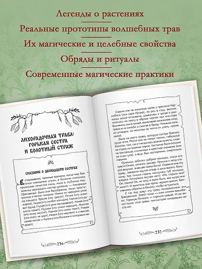 Славянские колдовские травы из сказок и легенд в реальной жизни. Магические свойства, обереги и талисманы - фото 5