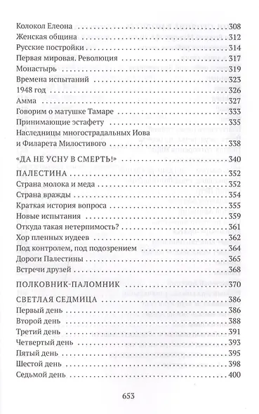Стояние в молитве. Рассказы о Святой Земле, Афоне, Царьграде - фото 5