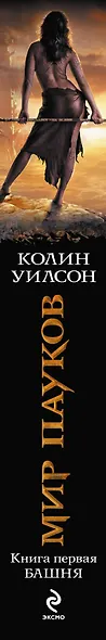 Мир пауков. Книга 1: Башня - фото 4