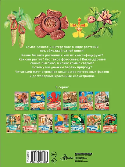 Растения - фото 2