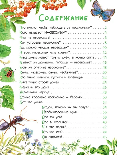 Насекомые. Книжка с неклейками - фото 12