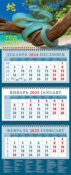 Календарь квартальный 2025г 320*760 "Год змеи 3" настенный, трёхблочный, спираль - фото 1