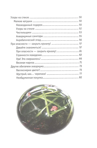 Ампулярия, риукин и другие… жители аквариума - фото 4