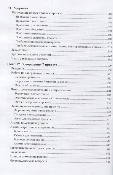 Управление IT-проектом или Как стать полноценным CIO Обновл. изд. (2 изд.) (мУпрПр) Снедакер - фото 3