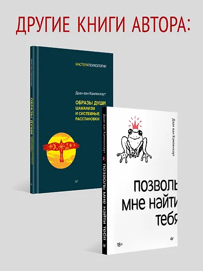 Четыре направления. Путеводитель по шаманскому колесу - фото 8