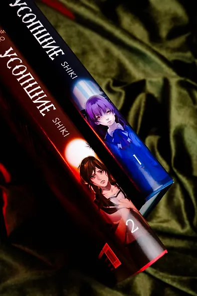 Усопшие. Книга 2 (Shiki). Ранобэ - фото 8