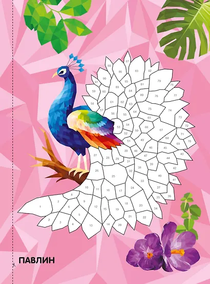 Птицы и подводный мир - фото 4