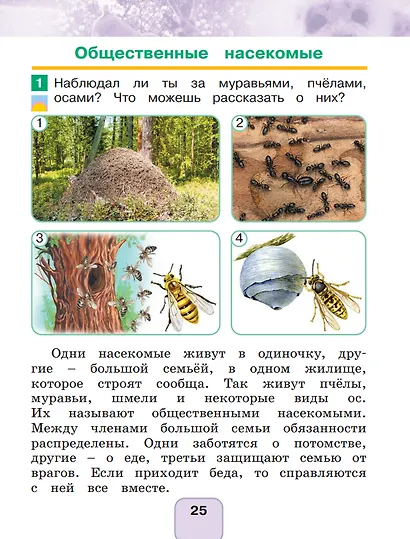 Окружающий мир. 1 класс. Учебное пособие. В 2 частях. Часть 2 - фото 3
