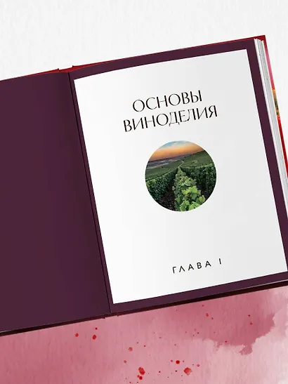 Вино к еде. Искусство идеального сочетания - фото 8