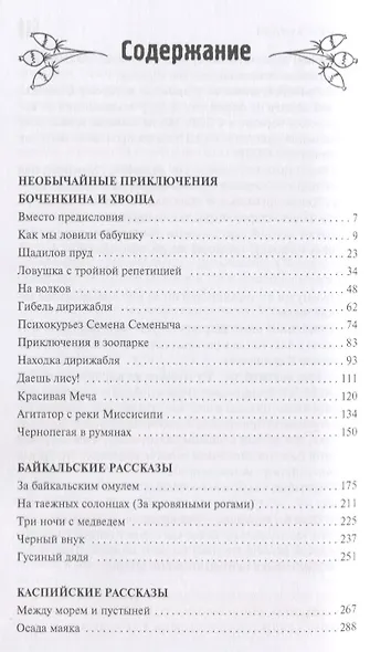 Как мы ловили бабушку. Необычайные приключения Боченкина и Хвоща. Баукальские рассказы. Каспийские рассказы - фото 2