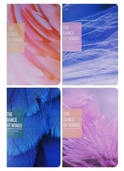 Тетрадь в клетку Languo, The dance of wings, 44 листа, в ассортименте - фото 6