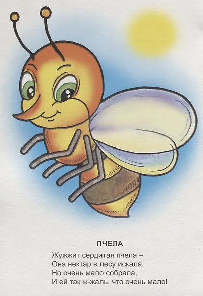 Знаешь ли ты насекомых? - фото 2