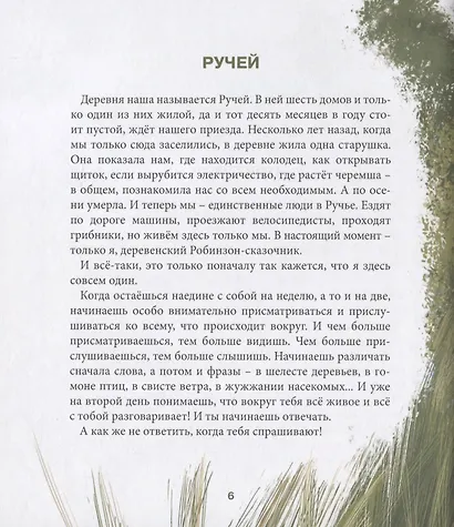 Как я подружился с летом. Из дневника сказочника - фото 5