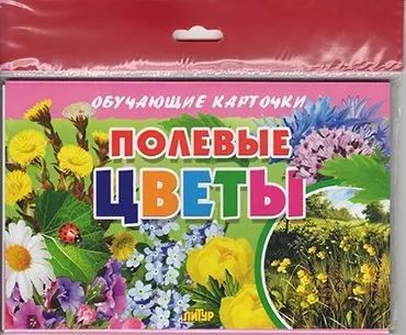 Полевые цветы/европодвес - фото 1