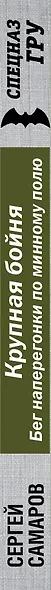 Крупная бойня. Бег наперегонки по минному полю - фото 5