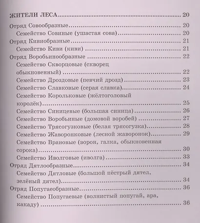 Птицы - фото 3