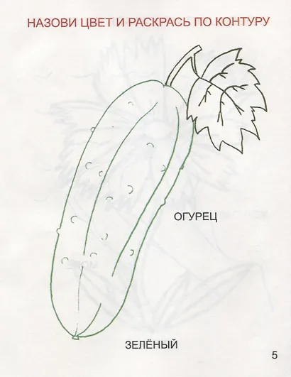 Разноцветный мир - фото 3