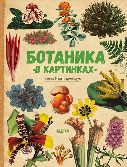 Ботаника в картинках - фото 1