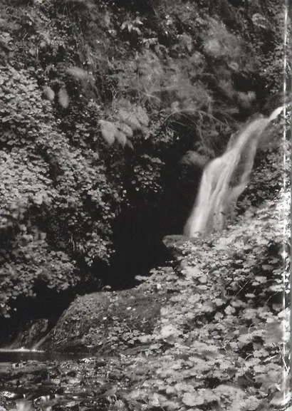 Солодовый виски. Вискикурни Шотландии - фото 5