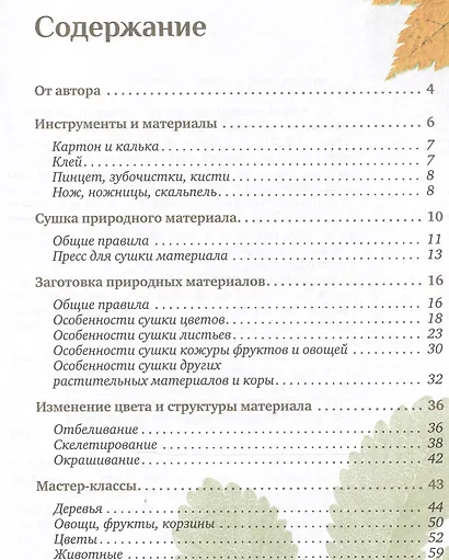 Картины из цветов и листьев своими руками - фото 2
