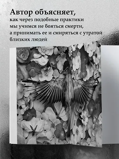 О чем молчит фотография: как современные постмортемы помогают жить - фото 6