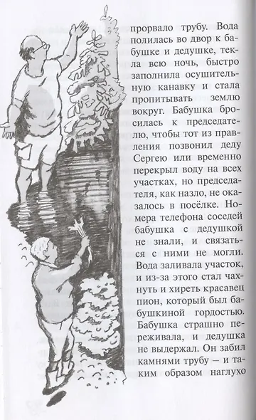 Здравствуй, дедушка! - фото 6