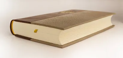 Екатерина II. О величии России. Из «Особой тетради» великой императрицы. Коллекционное иллюстрированное издание премиум-класса в кожаном переплете ручной работы в стиле 19 века с бинтами, красочным тиснением и торшонированными обрезами - фото 9