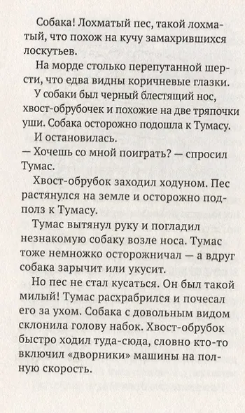 Тумас и Трассель - фото 2