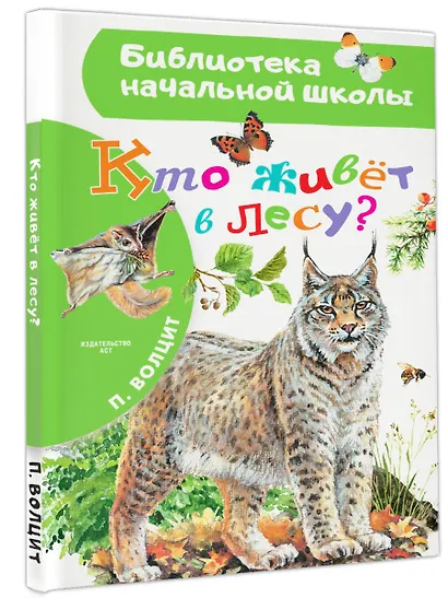 Кто живёт в лесу? - фото 3