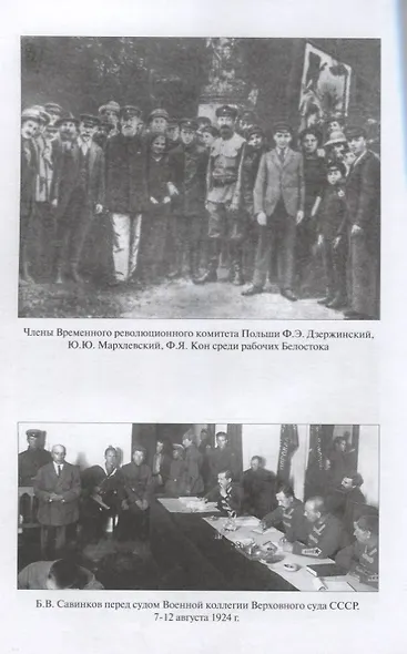 Особый отдел ВЧК против польской разведки.1918-21г - фото 5