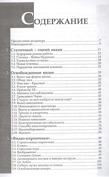 Теория видео Онлайн-видео: эстетика или деградация видео (м) (Трэски) - фото 2