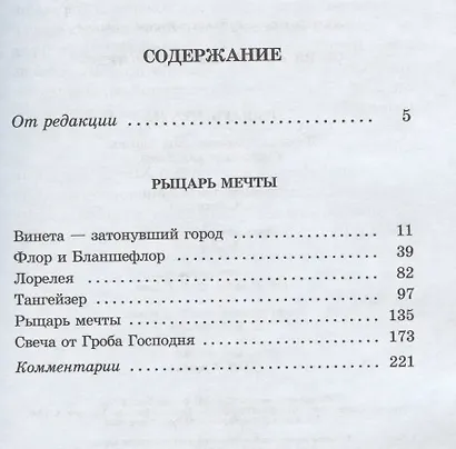 Рыцарь мечты - фото 2