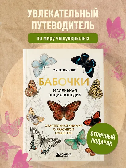 Бабочки! Маленькая энциклопедия. Обаятельная книжка о красивом существе - фото 4
