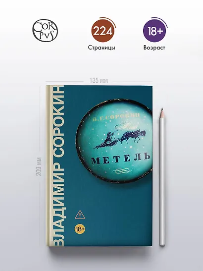 Метель - фото 4