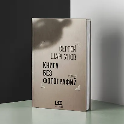 Книга без фотографий - фото 5