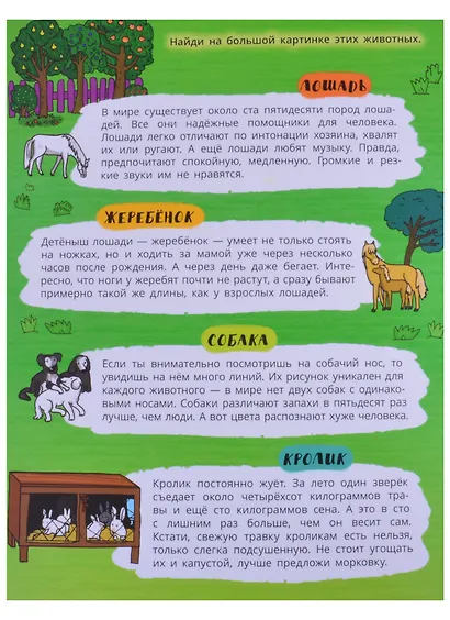 Книжка-панорамка "Большая ферма" - фото 2