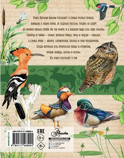 Наши птицы - фото 2