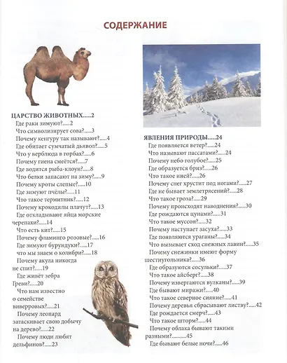 Что? Где? Почему? - фото 2