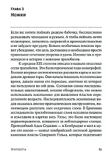 Трилобиты. Свидетели эволюции - фото 4
