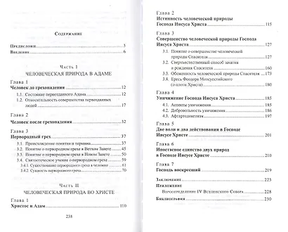 Бог во плоти. Святоотеческое учение о человеческой природе Господа нашего - фото 2